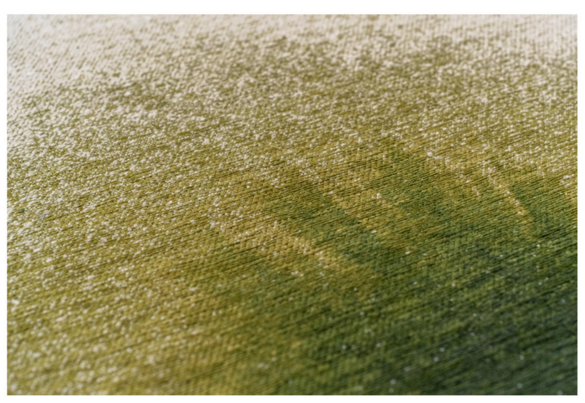 TEPPICH modern Flachgewebe GLOBE Grün 240 x 340 cm - Grün, Textil (240/340cm) - Novatrend