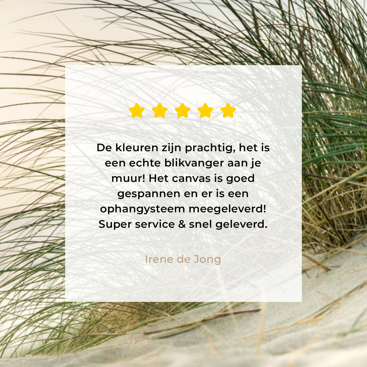 LEINWANDBILD Dünen mit Strandhafer in der Sonne des Nationalparks Schleswig-Holsteinisches Wattenmeer Wandbild 40x30 cm - Creme, Textil (40/30cm) - MuchoWow