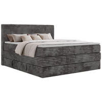 BOXSPRINGBETT TILION KING 160/200 - Grau Cord - Topper T25 - H4 - Schwarz/Grau, Kunststoff/Textil (160/200cm) - MKS