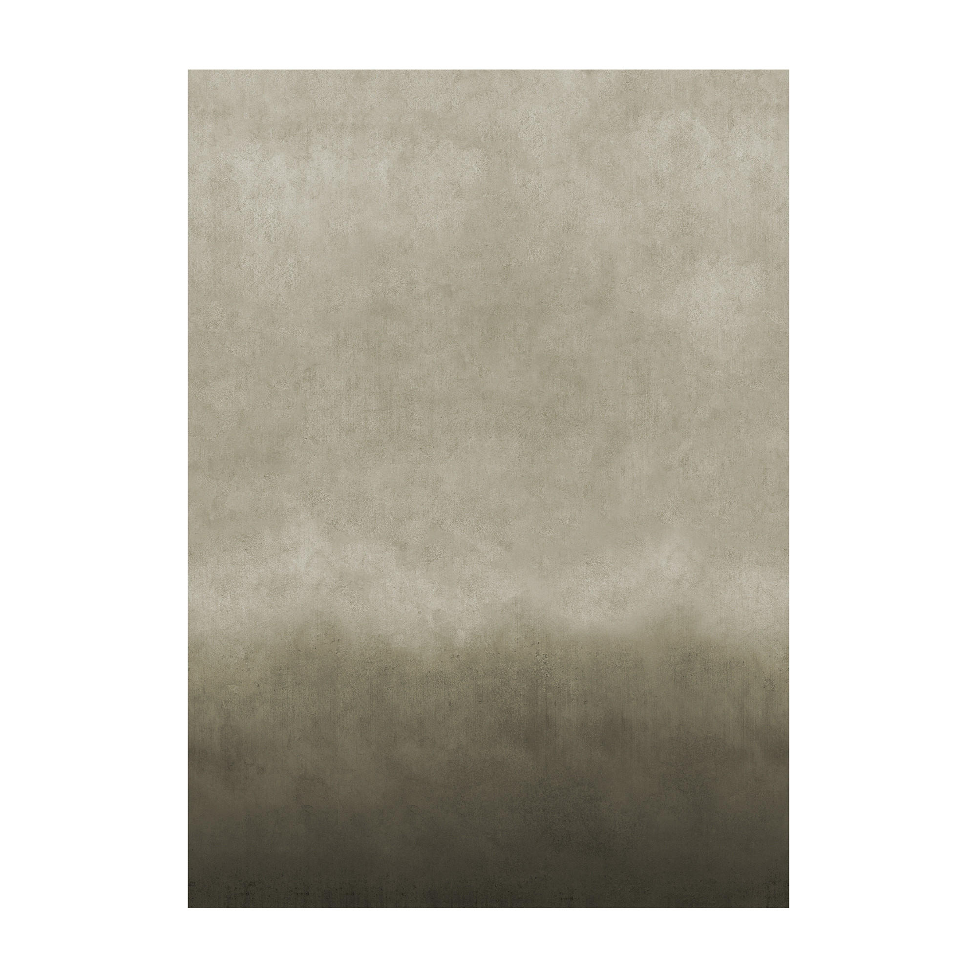 FOTOTAPETE - Rufi - Braun/Grün, Papier/Kunststoff (200/280cm) - Graham & Brown