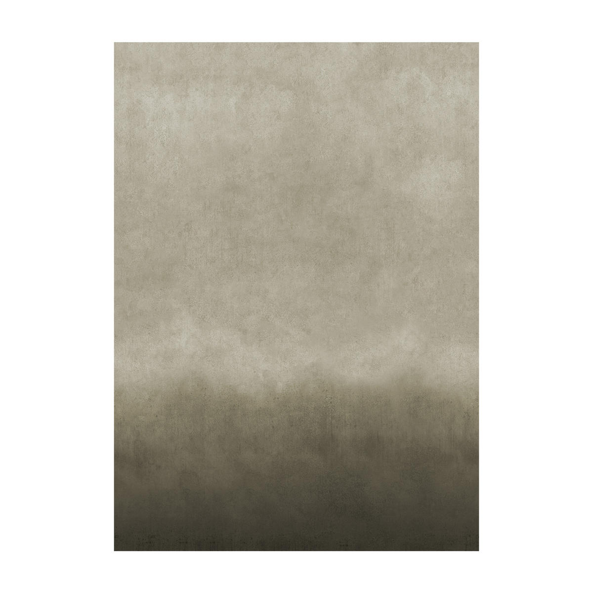FOTOTAPETE - Rufi - Braun/Grün, Papier/Kunststoff (200/280cm) - Graham & Brown