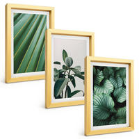BILDER SET 3er Set - 20x30 cm Goldrahmen - Ästhetische tropische Blätter - Goldfarben, Kunststoff (20/30cm) - TULUP
