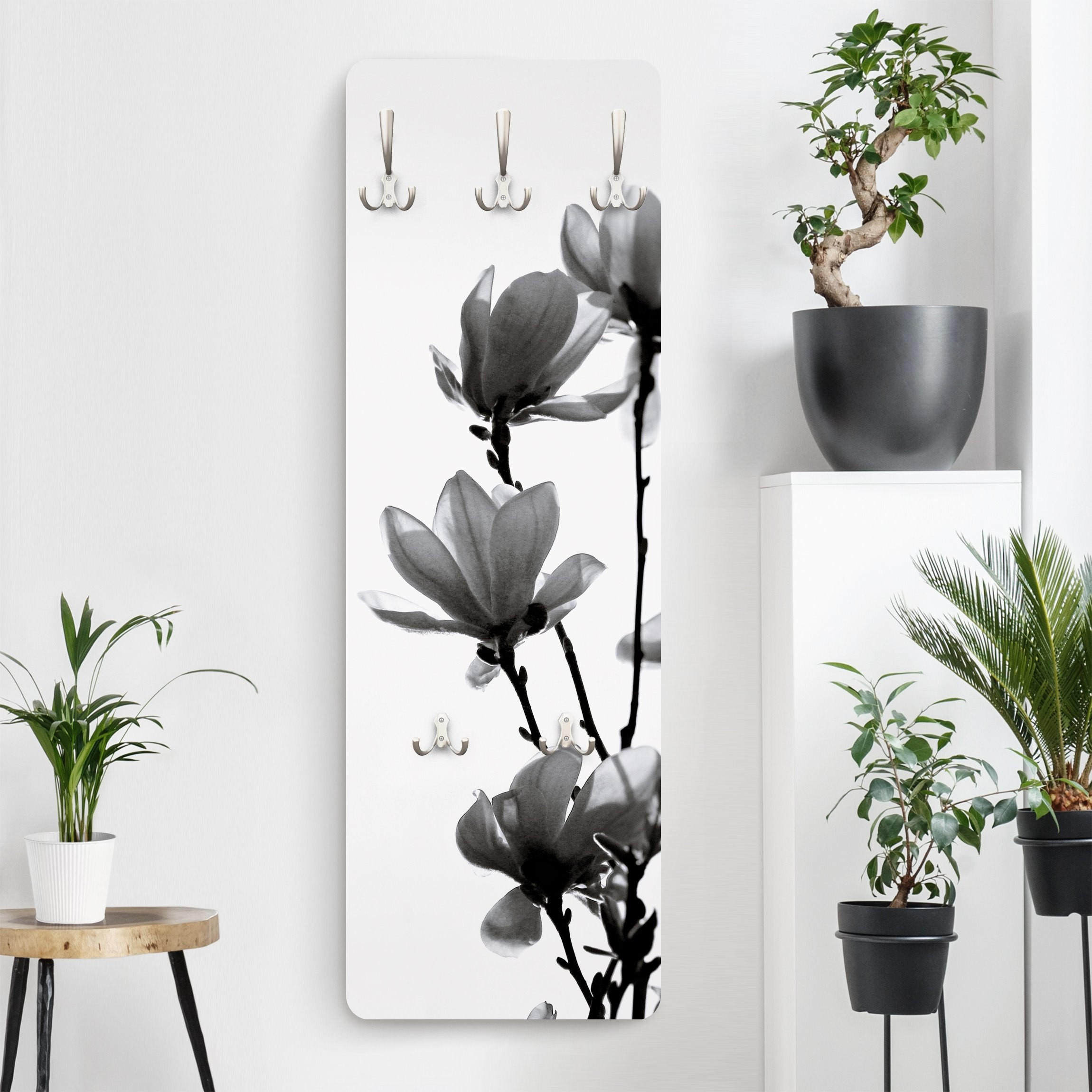 WANDGARDEROBE - Frühlingsbote Magnolie Schwarz, Weiß 34/105 cm - Schwarz, Holzwerkstoff (34/105/1.6cm) - Bilderwelten