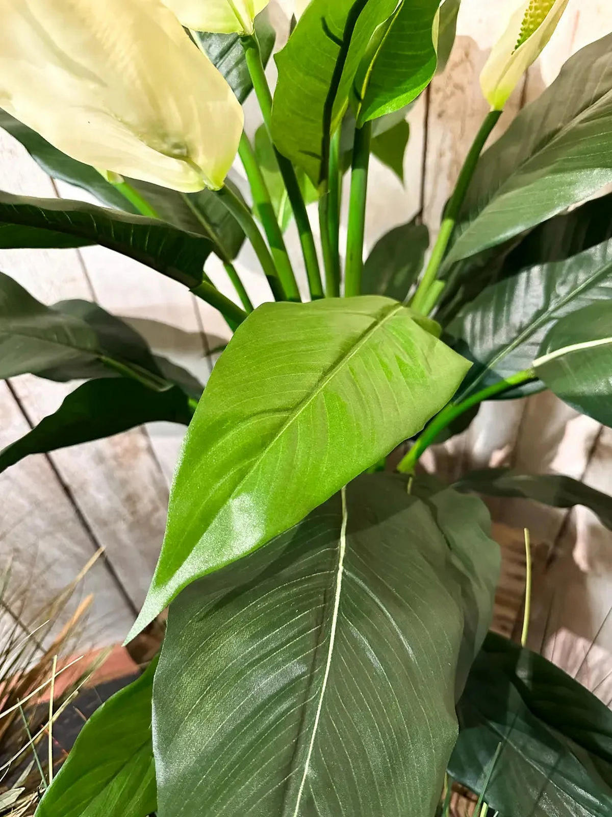 KUNSTBAUM Künstliche Spathiphyllum - Big-Luna 73 cm - Grün, Kunststoff (73cm) - aplanta