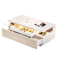 KLUBSKA miza, 90/45/35,5 cm bela, z LED-osvetlitvijo in 2 predaloma - bela, leseni material (90/45/35.5cm) - BEAOK