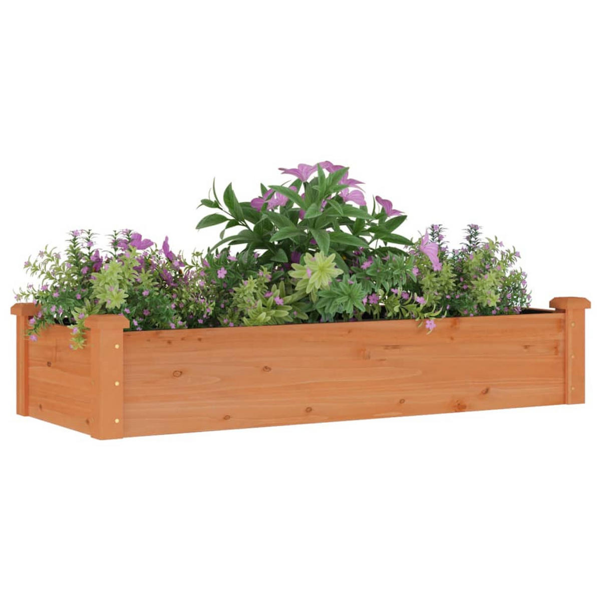 HOCHBEET mit Einsatz Braun 120x45x25 cm Massivholz Tanne - Braun, Holz (45/25/120cm) - furnicato