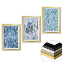 WANDBILDER 3er Set - 20x30 cm Goldrahmen - Winterwald blaue Blume Wasser - Goldfarben, Kunststoff (20/30cm) - ArtPrintCave