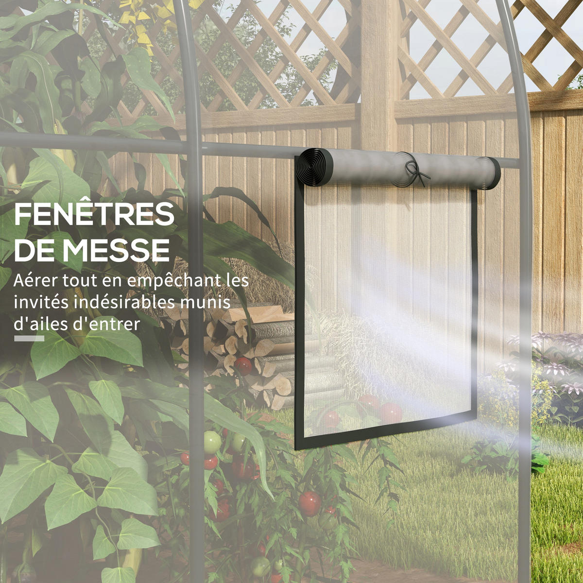 GEWÄCHSHAUS DE-11964 mit Tür & 2 Fenstern Transparent - Transparent, Kunststoff (200/200/300cm) - ComfortXL