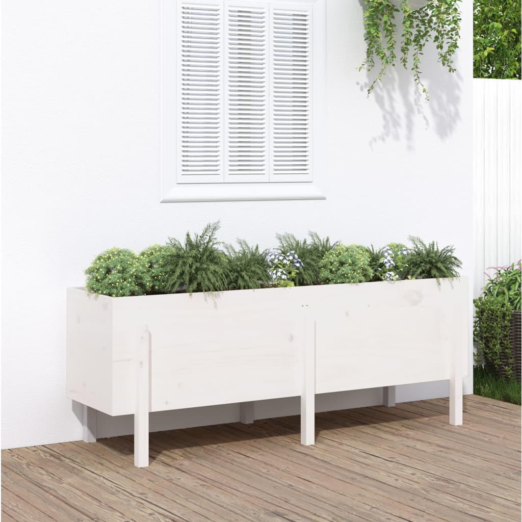 HOCHBEET Weiß 160x50x57 cm Massivholz Kiefer - Weiß, Holz (50/57/160cm) - furnicato