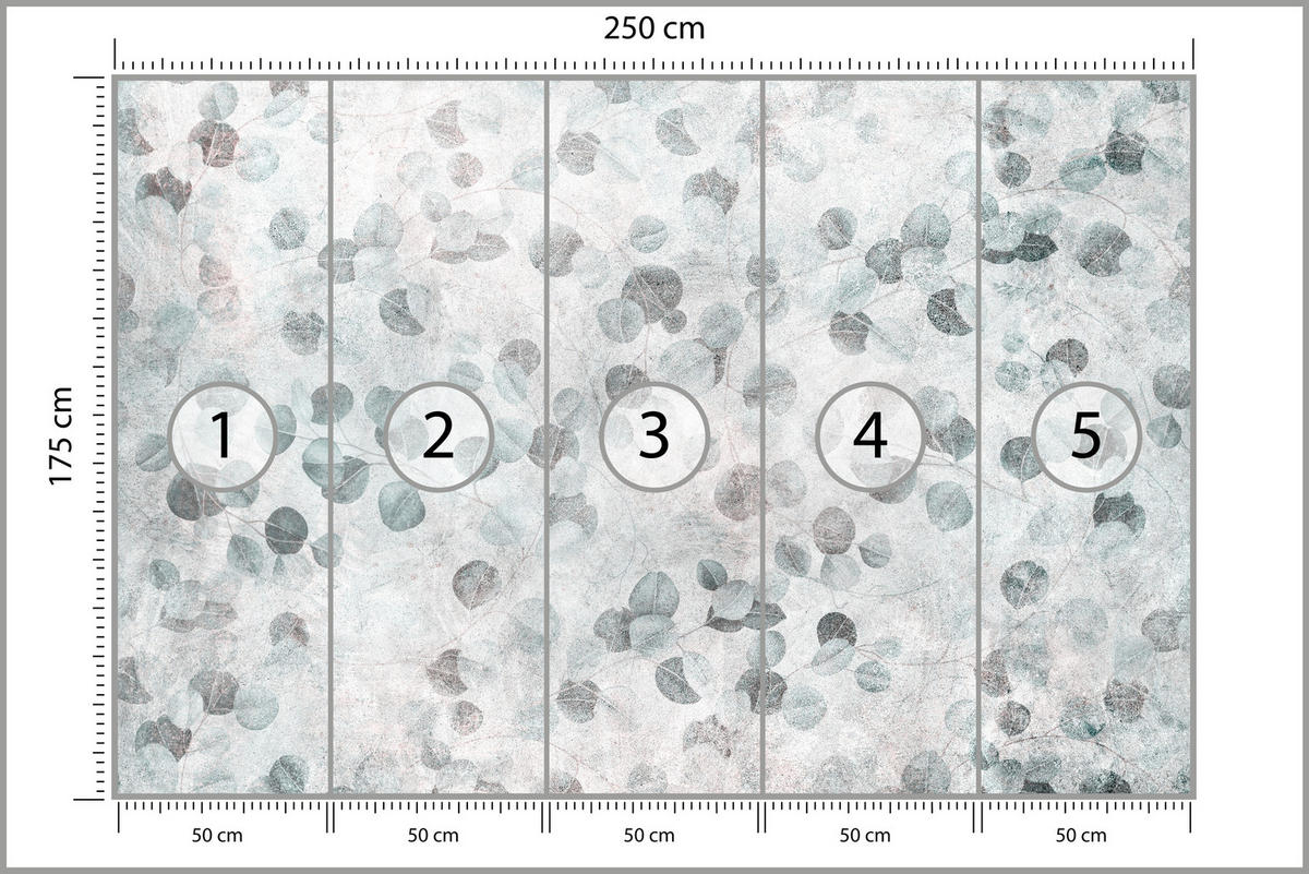 FOTOTAPETE für Küche Eukalyptus Blätter Beton Pflanzen Vintage Grau 250x175 - Grau, Papier (250/175cm) - Muralo