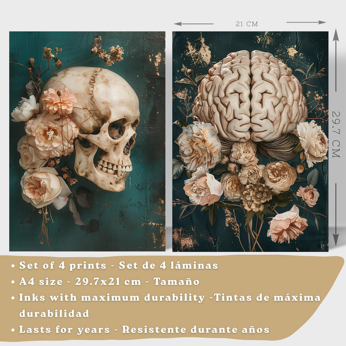 POSTER Set aus 4 Anatomie Mensch Drucke und mit Schädel Gehirn Lungen Luftröhre Bronchien Becken Wirbelsäule Florales Größe Weißer Rahmen A4 - Weiß, Papier (21/29.7/3cm) - Nacnic