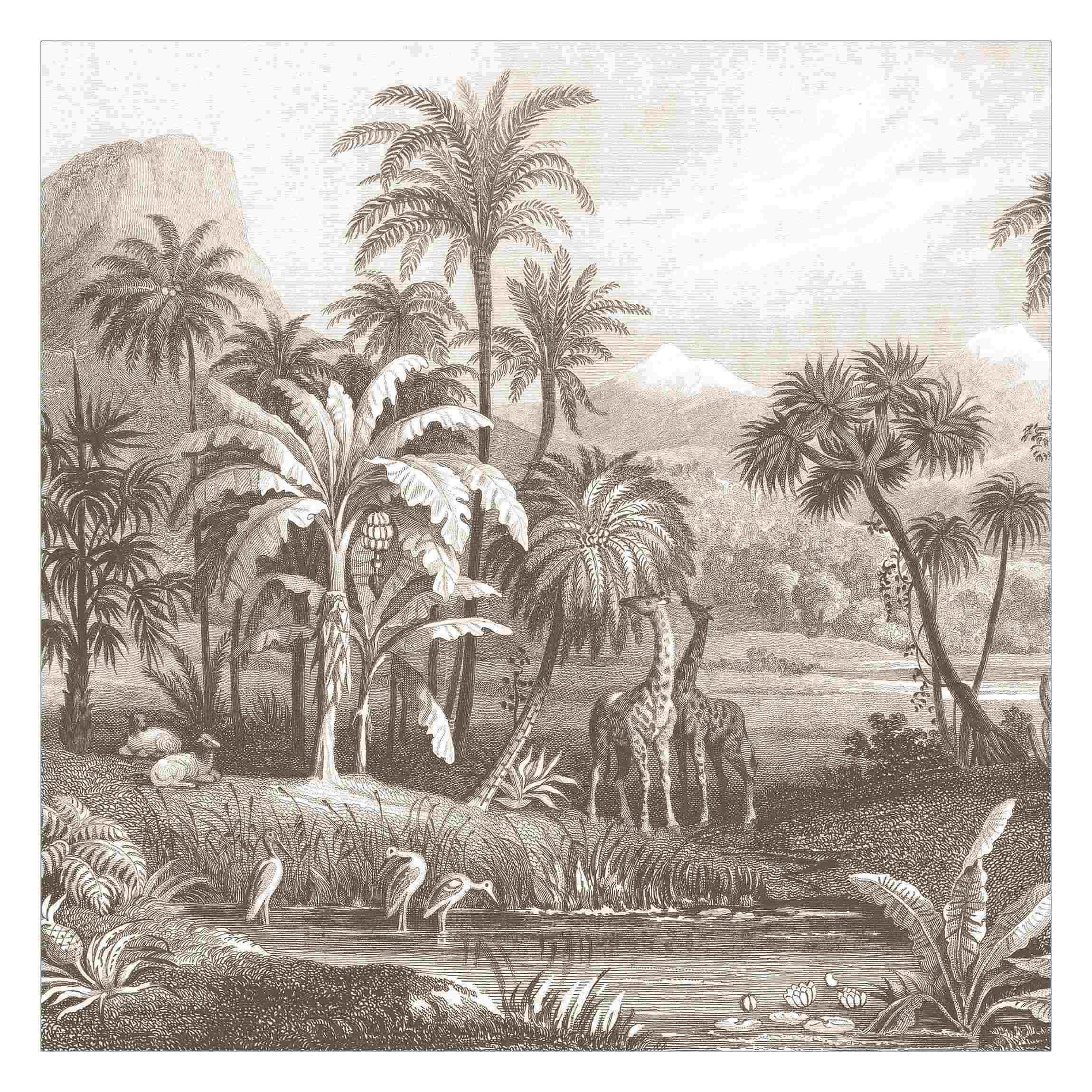FOTOTAPETE Tropischer Kupferstich mit Giraffen in Braun 288/288 cm - Eichefarben, Papier (288/288cm) - Bilderwelten