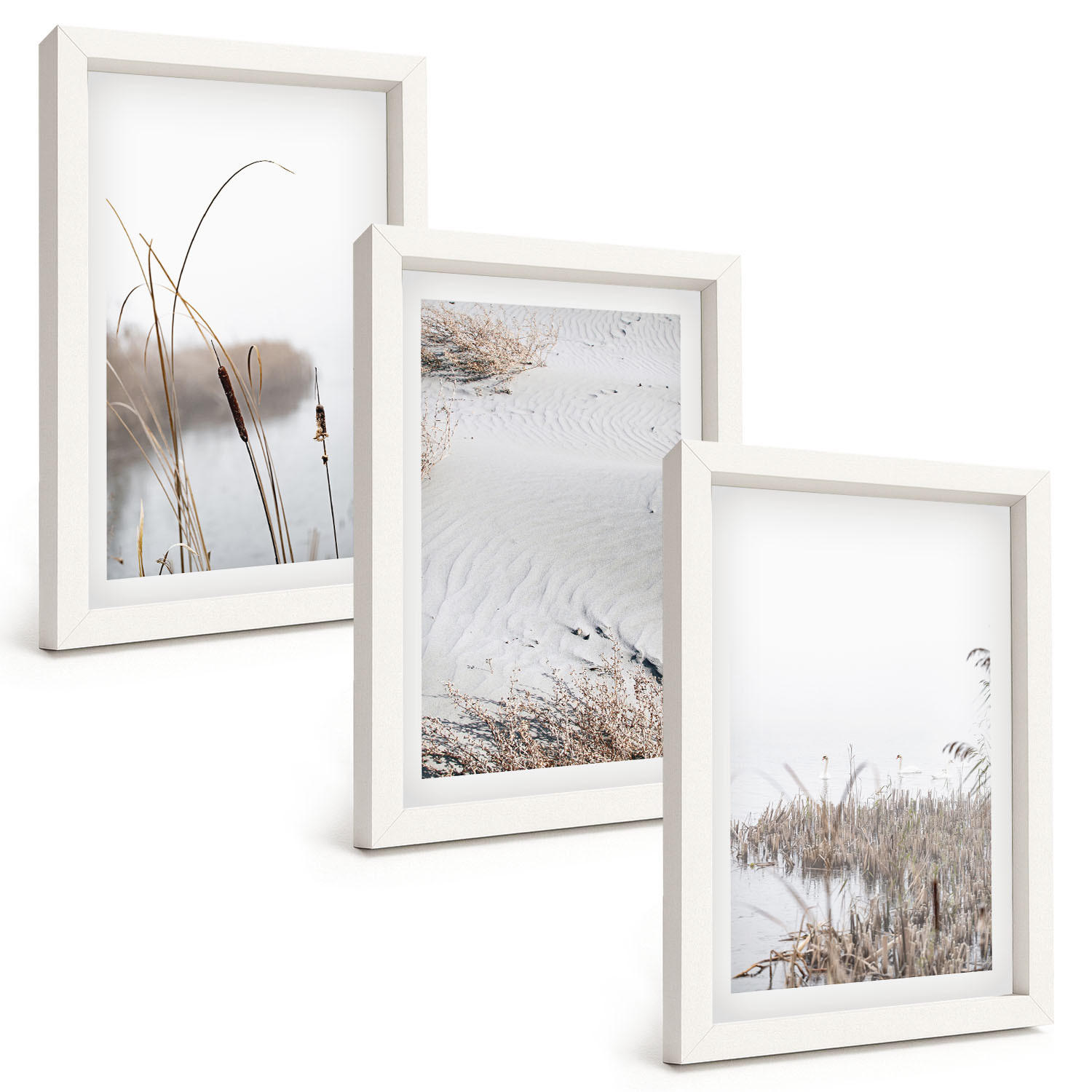 BILDER SET 3er Set - 20x30 cm Weißer Rahmen - Wasserpflanzen im Sommer - Weiß, Kunststoff (20/30cm) - TULUP