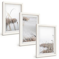 BILDER SET 3er Set - 20x30 cm Weißer Rahmen - Wasserpflanzen im Sommer - Weiß, Kunststoff (20/30cm) - TULUP