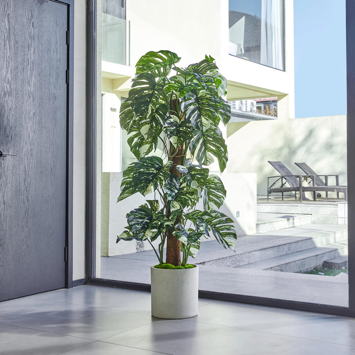 KUNSTPFLANZE Künstlicher Split-Philodendron – Elowen 150 cm - Naturfarben, Kunststoff (150cm) - aplanta