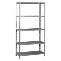 SCHRAUBREGAL PANDA TALL | HxBxT 200x100x40cm | 5 Fachböden | Fachlast 100kg | Verzinkt - Silberfarben, Metall (100/200/40cm) - PROREGAL