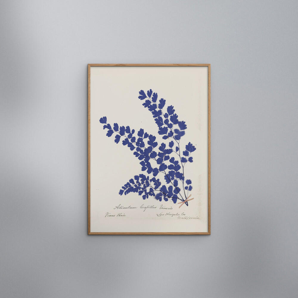 POSTER mit Rahmen Wild Apple - Botanical Fern III Blue - Blau/Eichefarben, Holz/Papier (70/100cm) - Poster&Frame