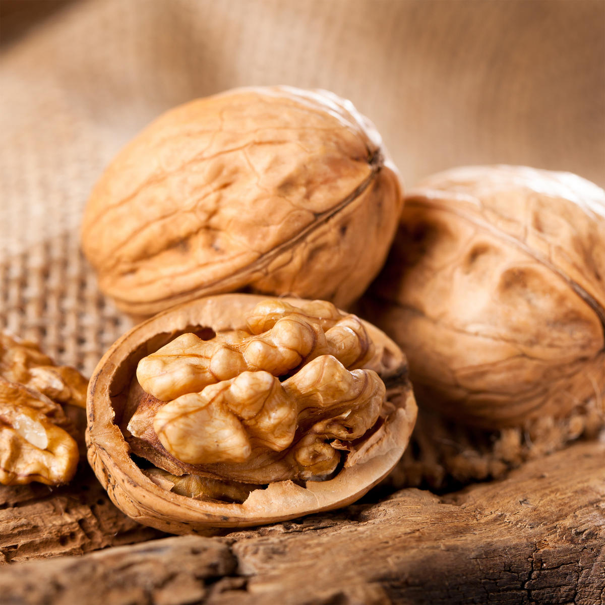 NUSSKNACKER - Multicolor, Metall - Relaxdays