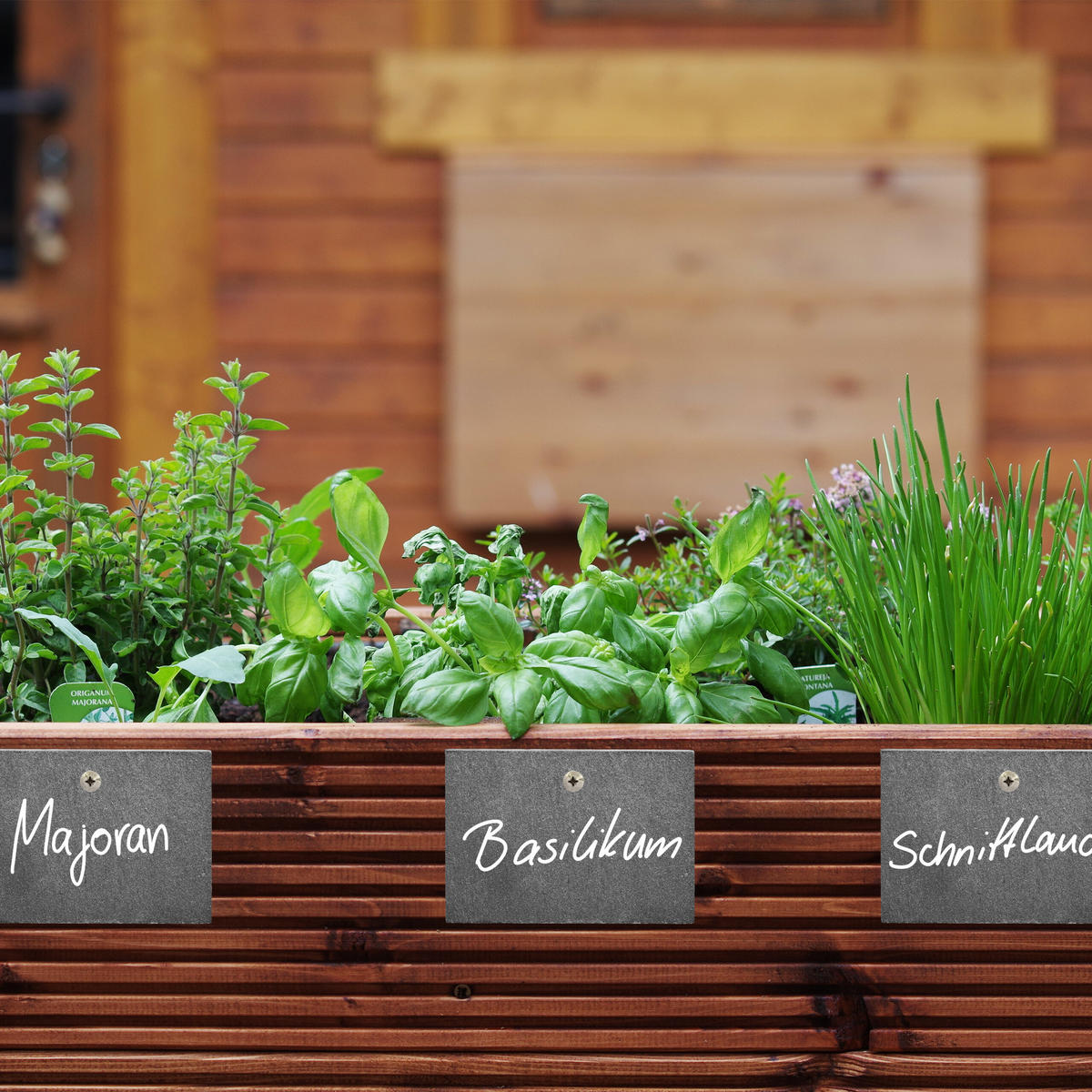 10XSCHIEFER-PFLANZENSCHILDER - Anthrazit, Stein (10/7/0.5cm) - Relaxdays