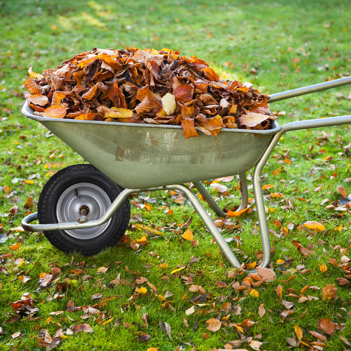 SCHUBKARRENRAD - Schwarz, Kunststoff (7.5/38.5/38.5cm) - Relaxdays