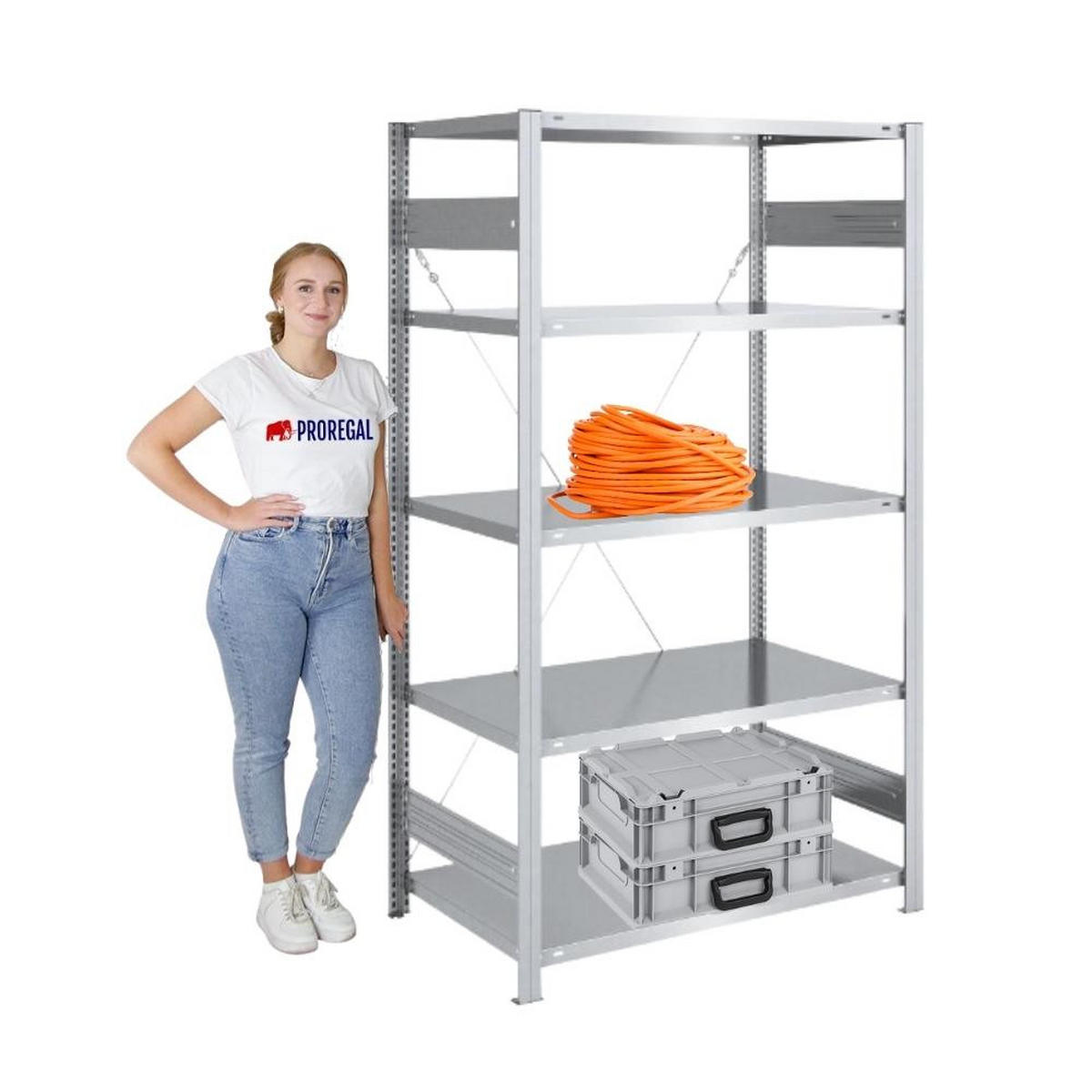 SCHWERLASTREGAL Silver Mamba 200x100x60cm 5 Ebenen je 150kg Fachlast Verzinkt - Silberfarben, Metall (100/200/60cm) - PROREGAL