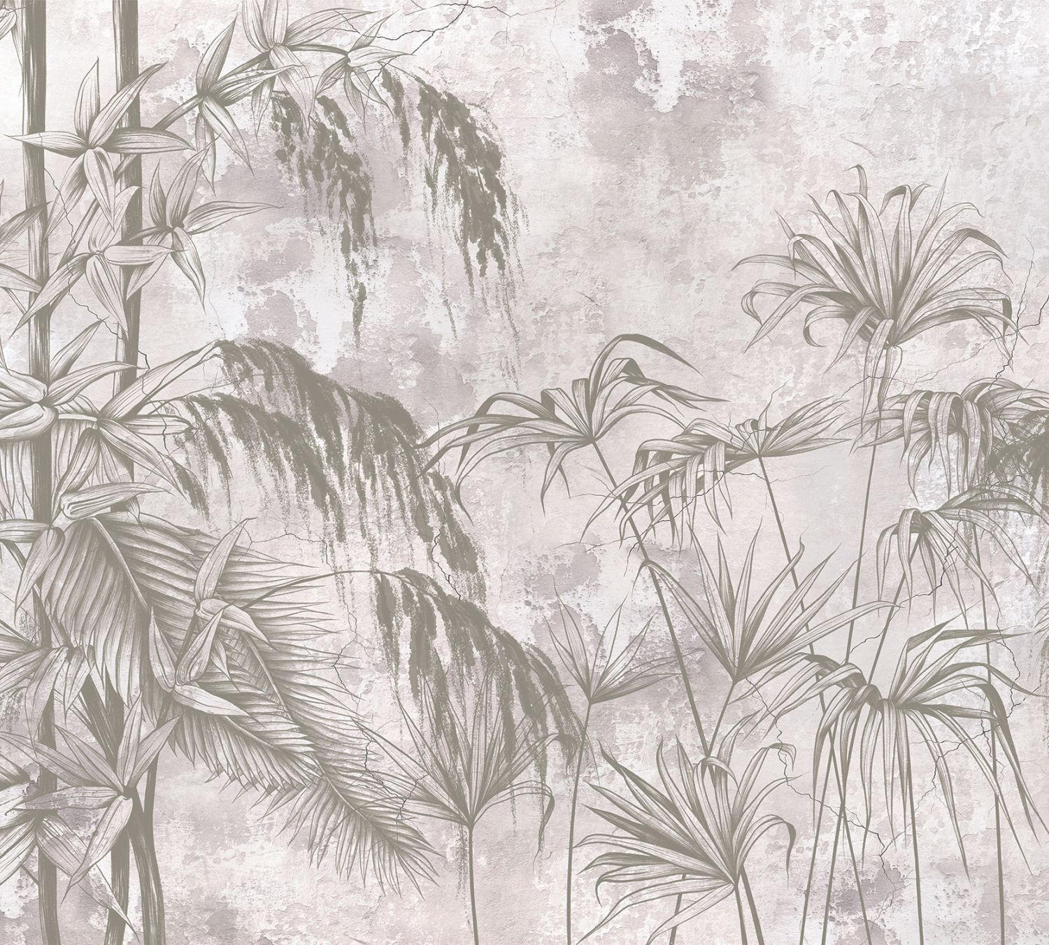 FOTOTAPETE tropische Pflanzen 270 x 300 cm - Grau, Papier (270/300cm) - Sanders & Sanders