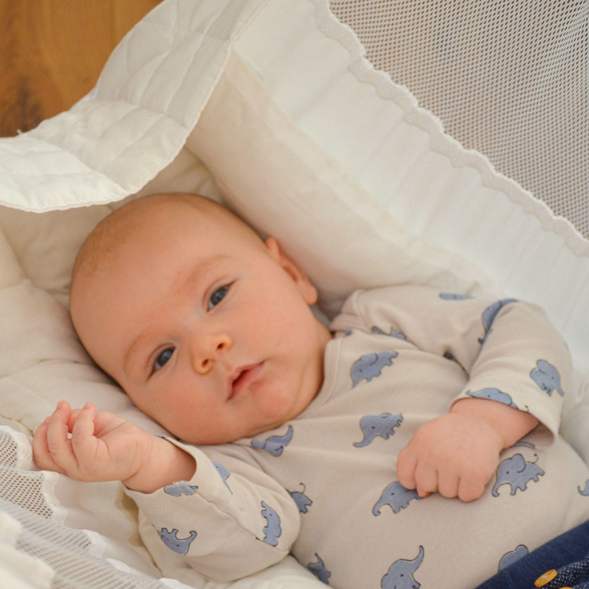 BABY-FEDERWIEGE inkl. Gestell, 205cm, bis 15kg, Weiß - Weiß, Textil (79/205/112cm) - Amanka