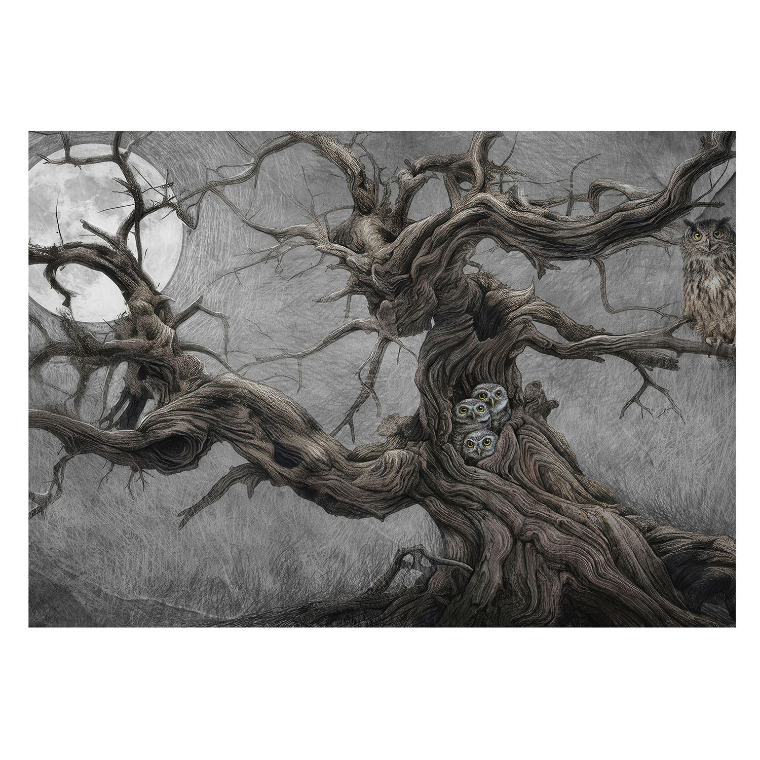 FOTOTAPETE 208x146 cm - Geheimnisvolle Eule - Grau, Textil (208/146cm) - Wallfluent