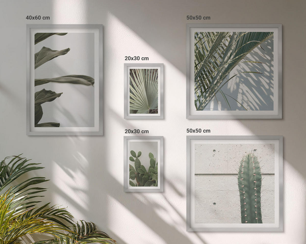 BILDER SET 5er Set - 50x50 cm & 20x30 cm & 40x60 cm Silberner Rahmen - Blätter tropischer Pflanzen in Pastellfarben - Silberfarben, Kunststoff (40/60cm) - TULUP