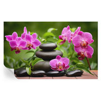FOTOTAPETE 416x254 cm - Orchideensteine - Grün, Textil (416/254cm) - Wallfluent