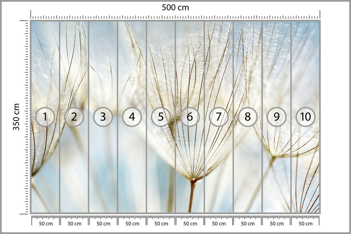 FOTOTAPETE für Wohnzimmer Löwenzahn Pflanzen Natur 500x350 - Blau/Beige, Papier (500/350cm) - Muralo