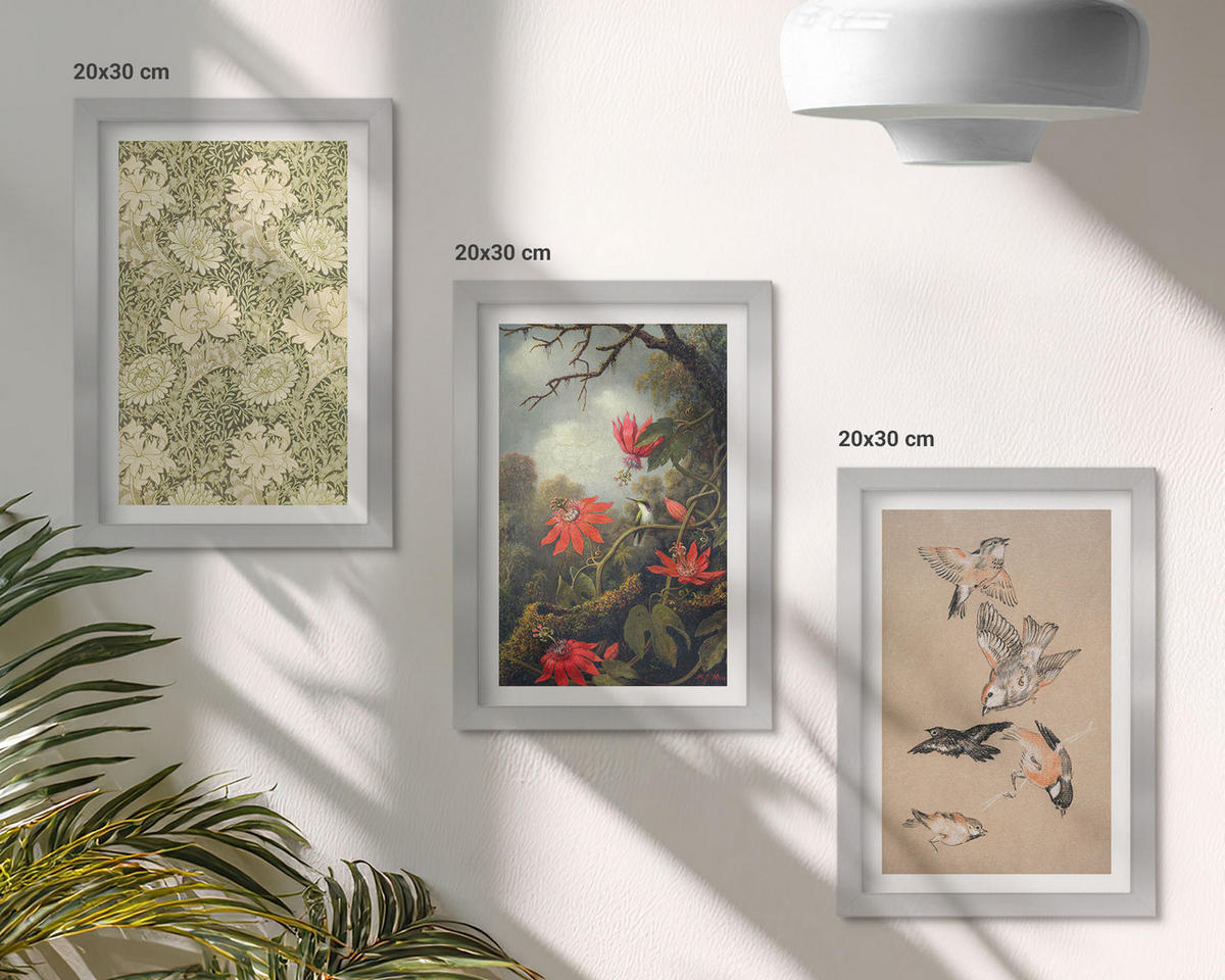 WANDBILDER 3er Set - 20x30 cm Silberner Rahmen - Blumen, Vögel, Natur - Silberfarben, Kunststoff (20/30cm) - ArtPrintCave