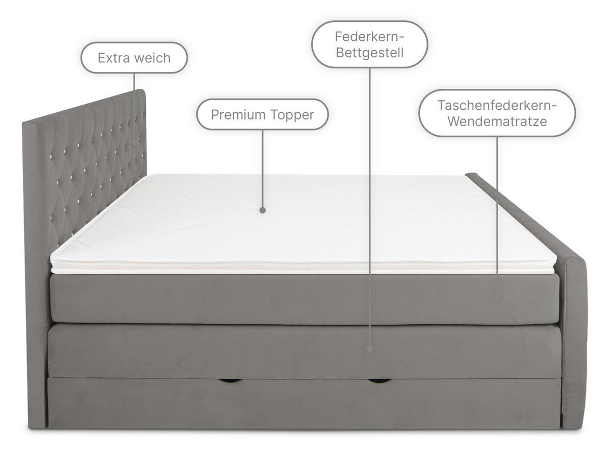 BOXSPRINGBETT Sira Grau 160/200 cm H2/H3 Samt - Grau, Textil (160/200cm) - wonello