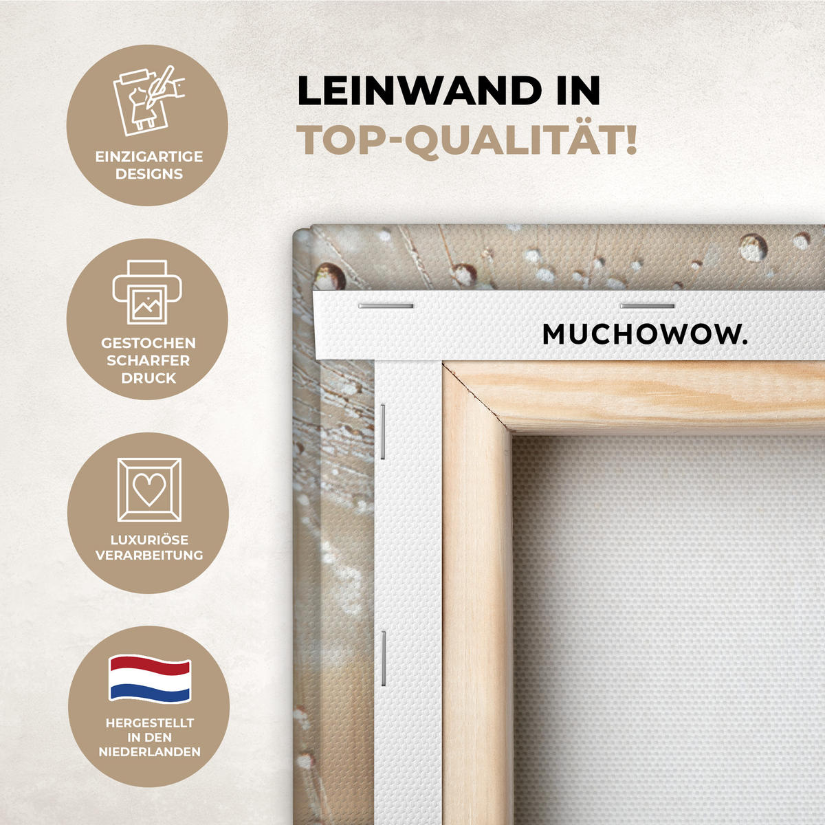 OBRAZ NA PLÁTNĚ Pampeliška - Abstraktní - Příroda - Béžová 80x60 cm - hnědá, textil (80/60cm) - MuchoWow