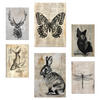 POSTER Set Mit 6 Vintage Tiere Schmetterling Hirsch Katze Fisch Kaninchenlibelle A3 & A4 Rahmenlos - Klar, Papier (29/3cm) - Nacnic