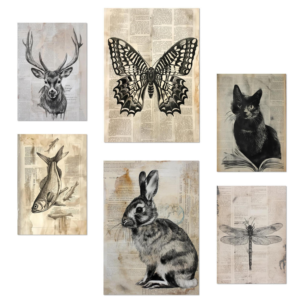 POSTER Set Mit 6 Vintage Tiere Schmetterling Hirsch Katze Fisch Kaninchenlibelle A3 & A4 Rahmenlos - Klar, Papier (29/3cm) - Nacnic