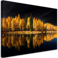 WANDBILD landschaft wald natur golden - Gelb, Textil (60/40cm) - Feeby