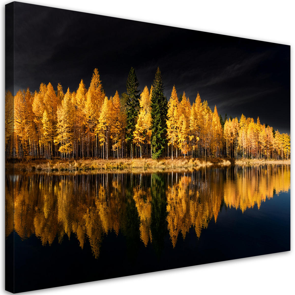 WANDBILD landschaft wald natur golden - Gelb, Textil (60/40cm) - Feeby