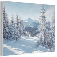 AKUSTIKBILD Winterlandschaft - Natur - Berge - Bäume - Schnee Wanddeko 70x50 cm - Hellblau, Kunststoff (70/50/0.9cm) - MuchoWow