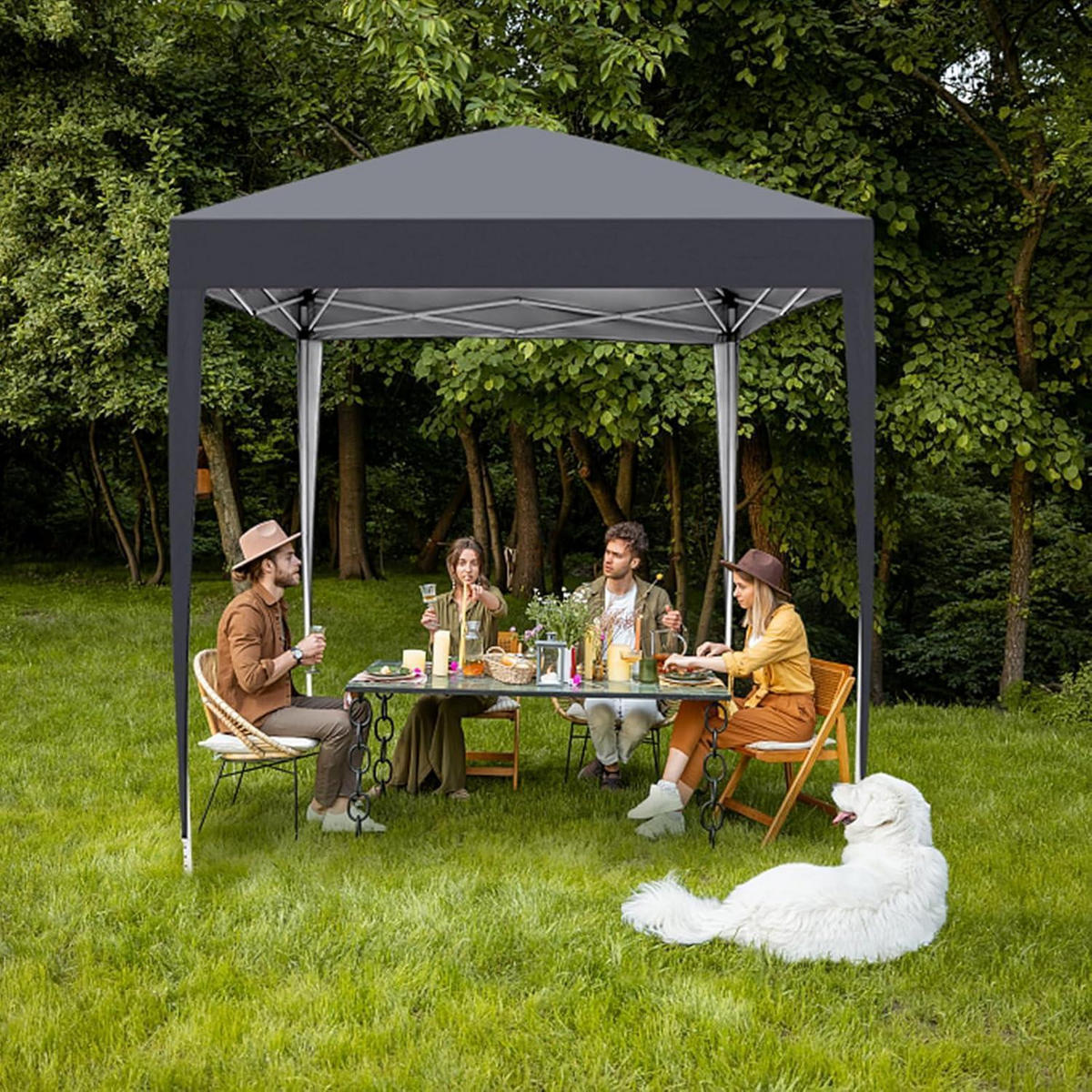 FALTPAVILLON 2 x 2 m Grau mit 4 Seitenteilen - Schwarz, Textil (200/255/200cm)