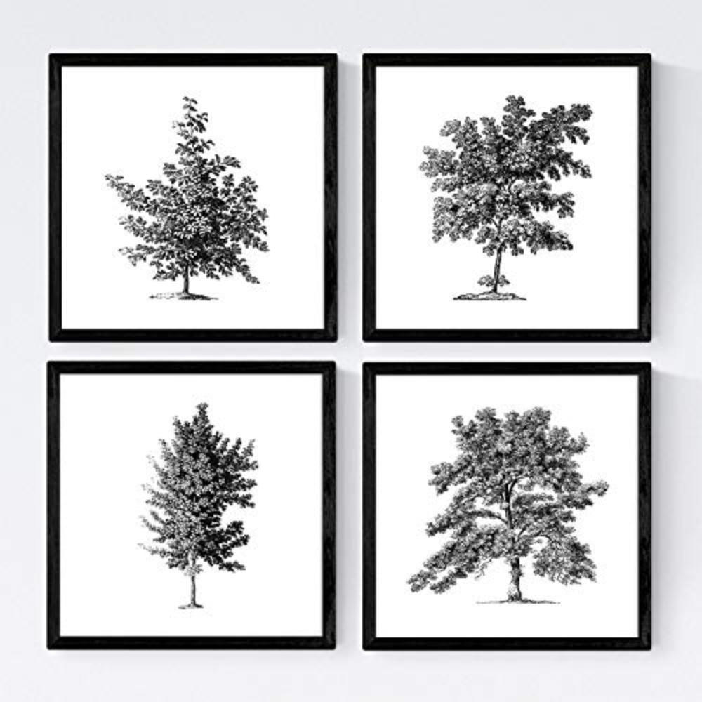POSTER Set mit 4 Blättern der Bäume ohne Blüten weiß 20x20cm Rahmenlos - Klar, Papier (20/3cm) - Nacnic