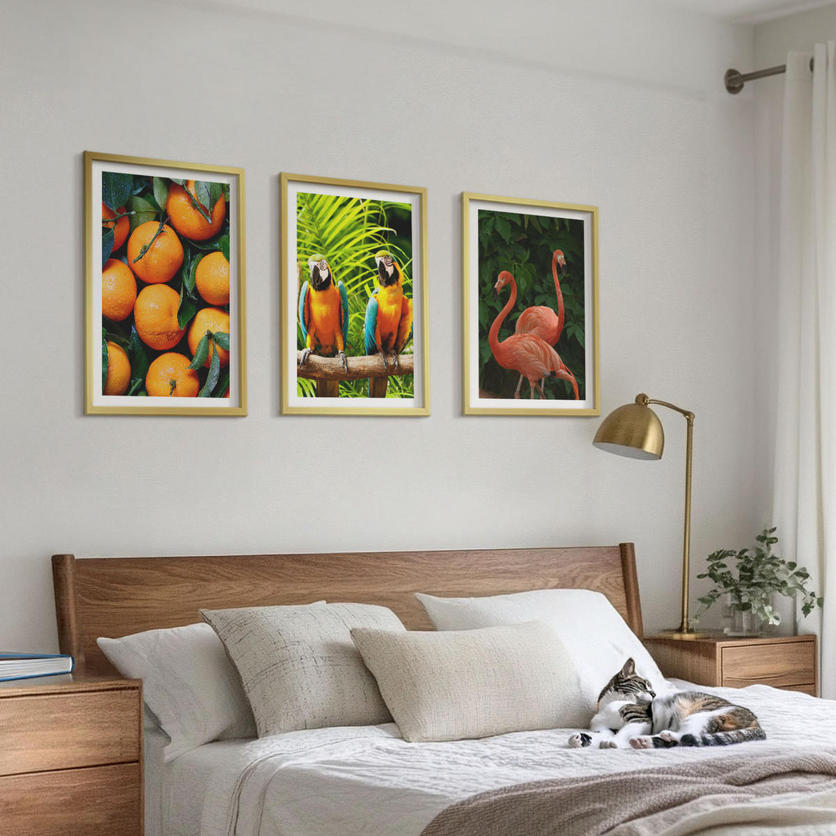 WANDBILDER 3er Set - 40x60 cm Goldrahmen - Fruchtige Akzente in den Tropen - Goldfarben, Kunststoff (40/60cm) - ArtPrintCave