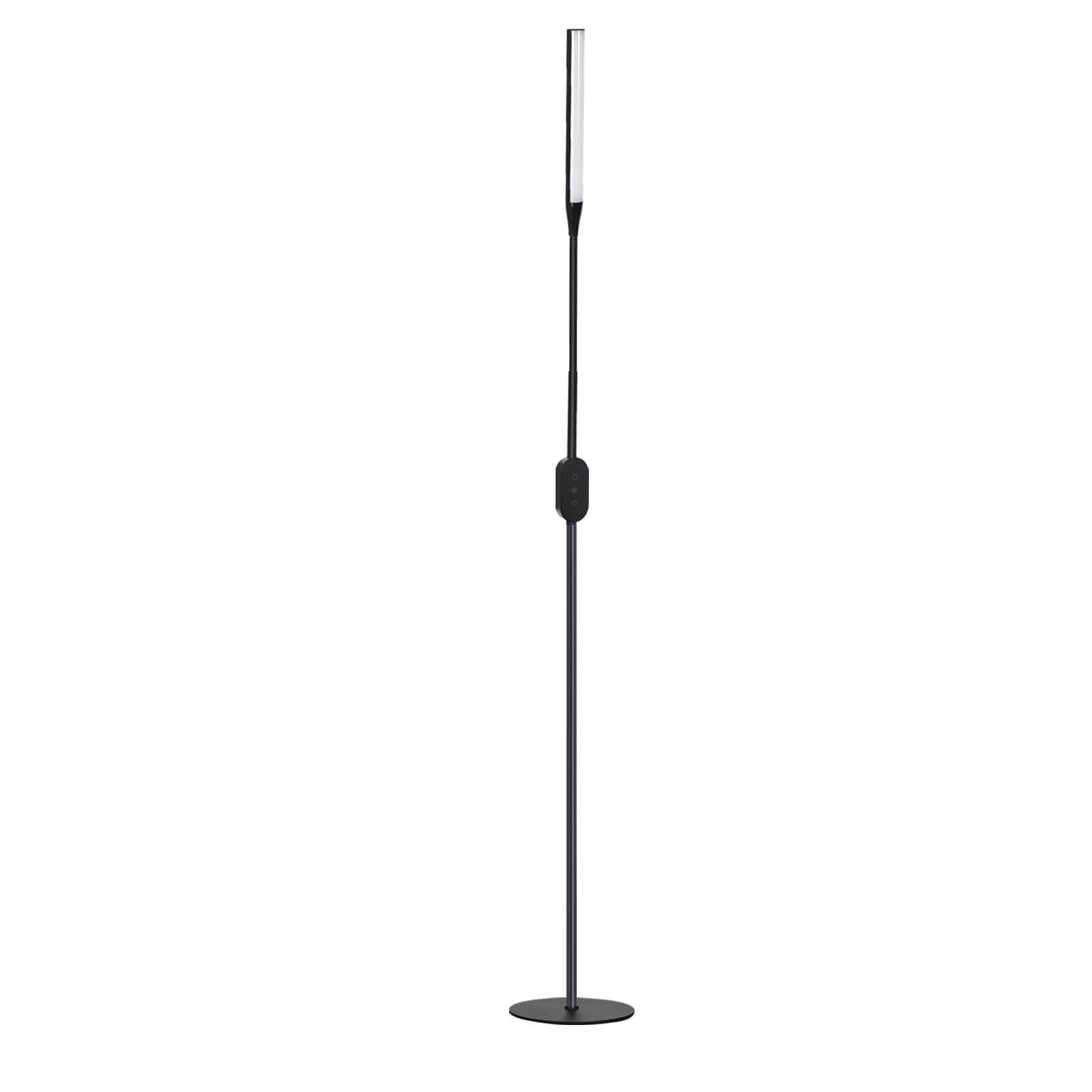 STEHLEUCHTE Bochum 45/22/178 cm - Schwarz, Metall (20/20/163cm) - Nettlife