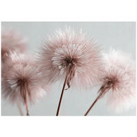 FOTOTAPETE Pusteblume Boho Wohnzimmer 250x175 - Multicolor, Papier (250/175cm) - Wallarena