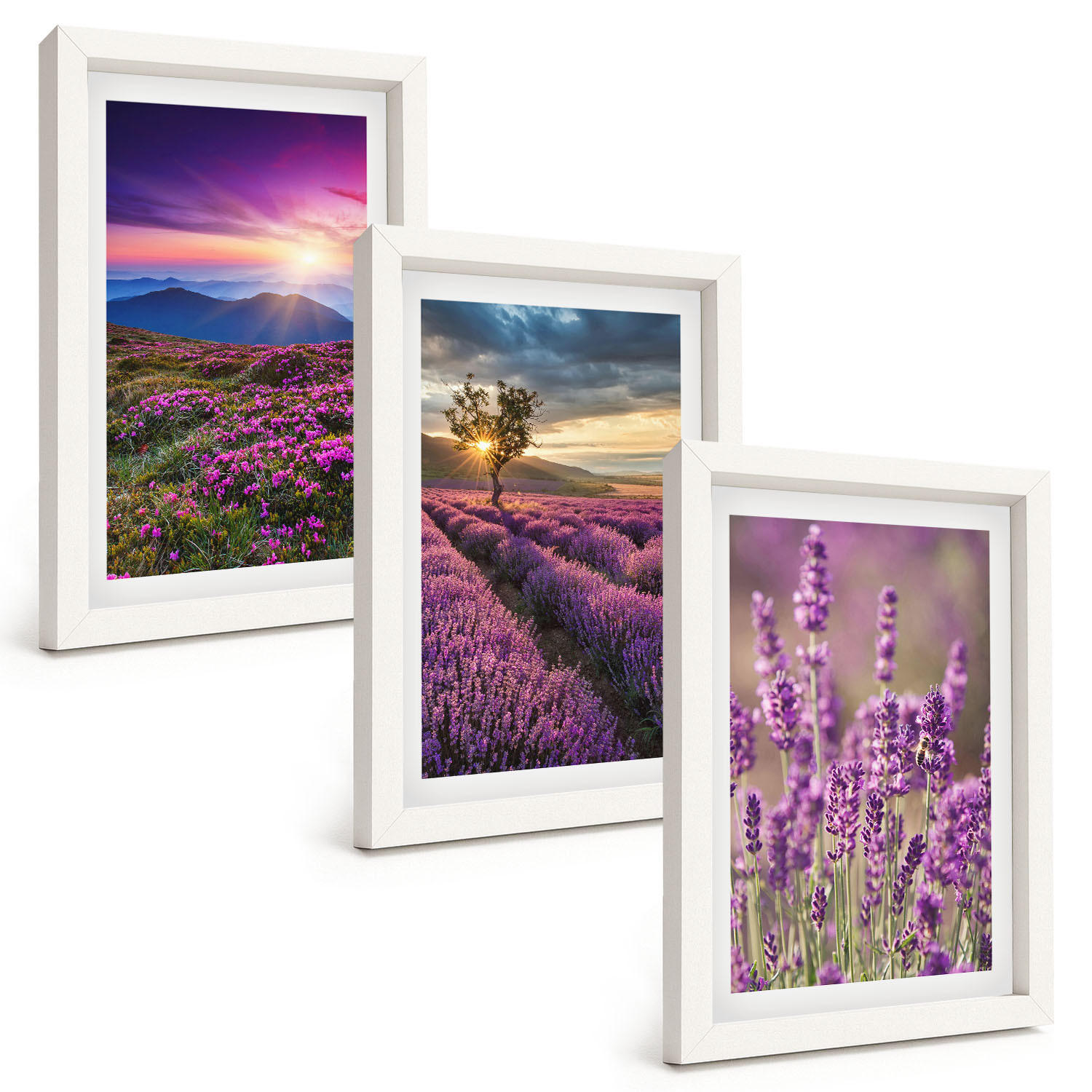 BILDER SET 3er Set - 20x30 cm Weißer Rahmen - Sonnenuntergang auf Lavendelfeldern - Weiß, Kunststoff (20/30cm) - TULUP