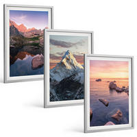 BILDER SET 3er Set - 40x60 cm Silberner Rahmen - Berglandschaften im Hintergrund - Silberfarben, Kunststoff (40/60cm) - TULUP