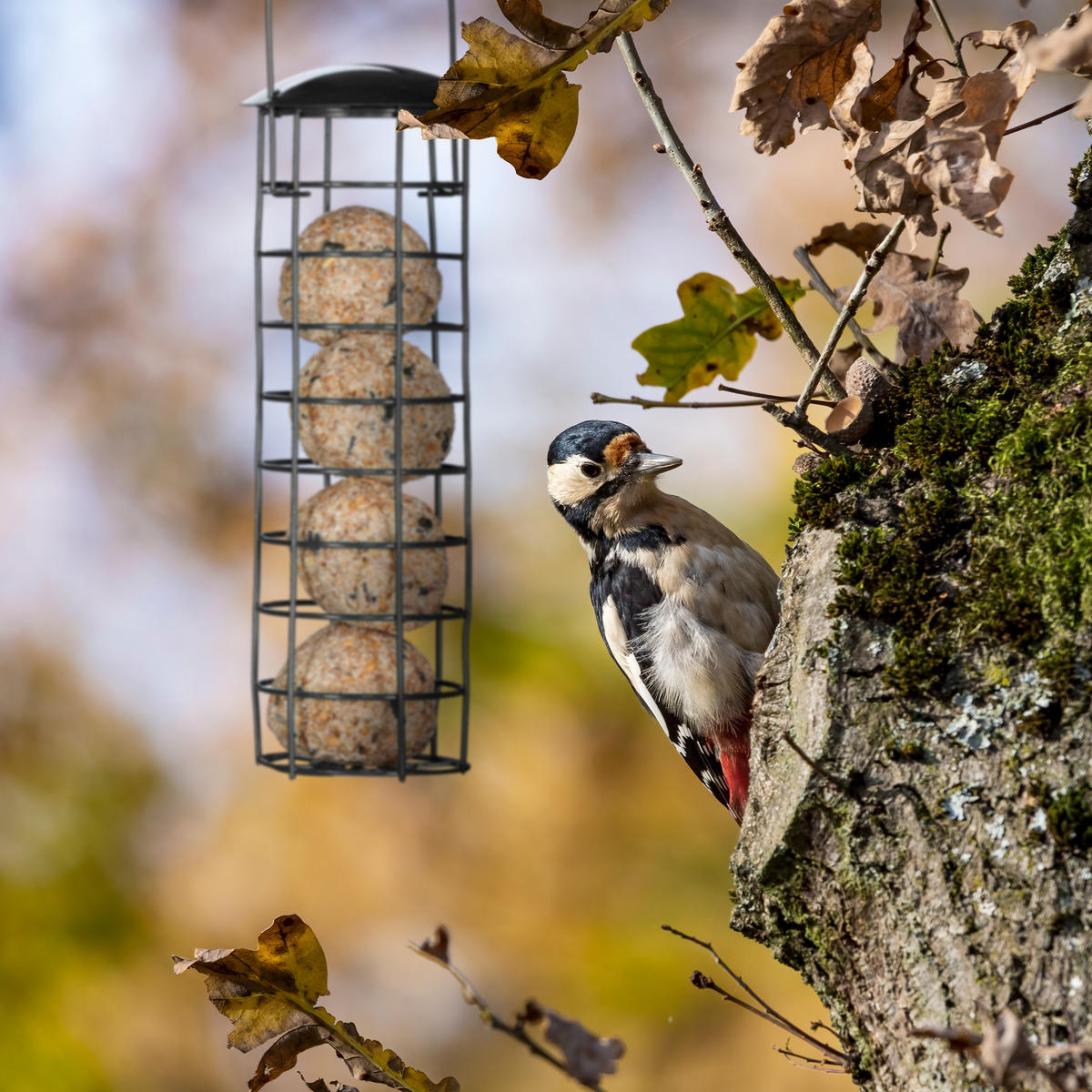 MEISENKNÖDELHALTER - Schwarz, Kunststoff/Metall (8.5/31/8.5cm) - Relaxdays