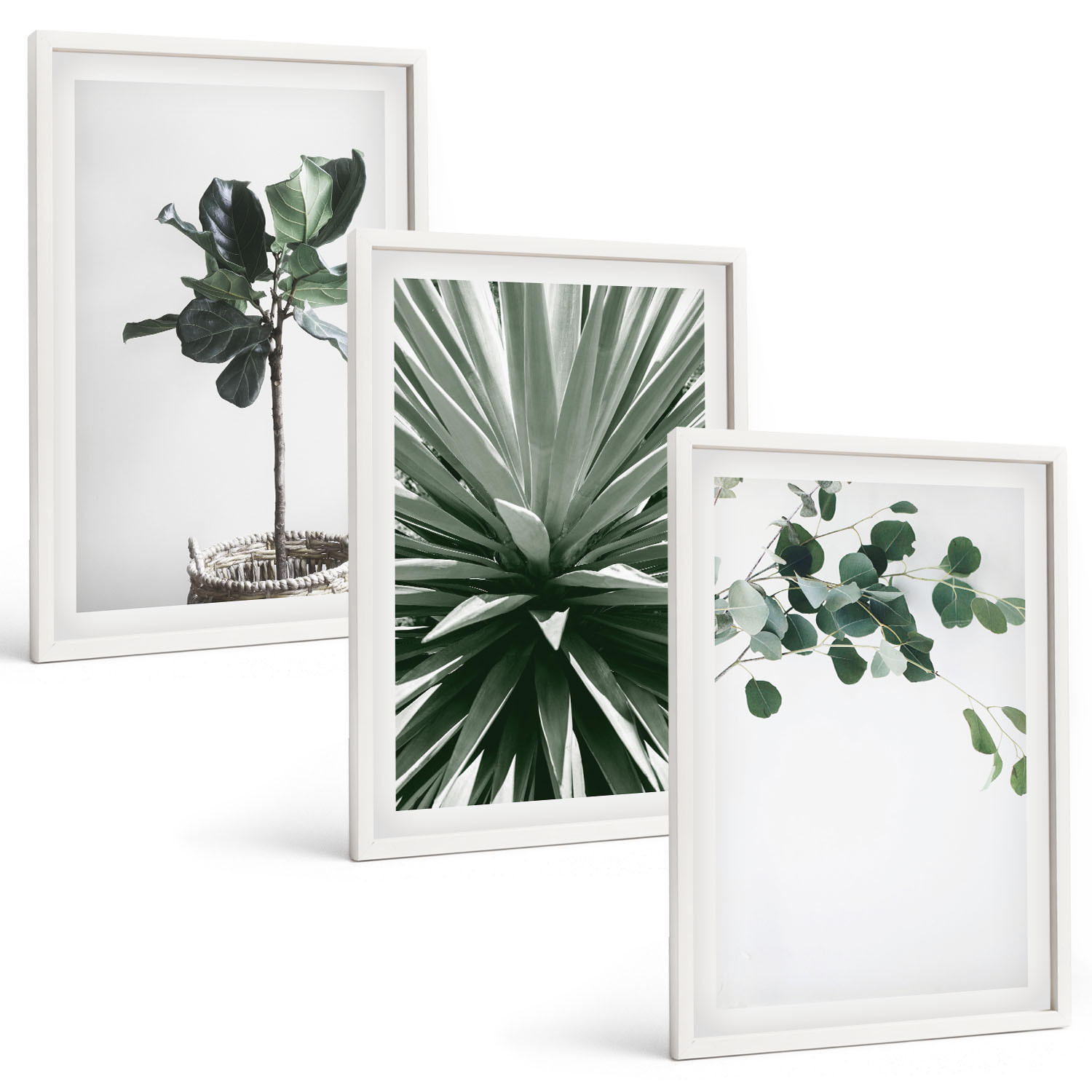 BILDER SET 3er Set - 40x60 cm Weißer Rahmen - Minimalismus mit grünen Pflanzen - Weiß, Kunststoff (40/60cm) - TULUP