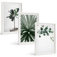 BILDER SET 3er Set - 40x60 cm Weißer Rahmen - Minimalismus mit grünen Pflanzen - Weiß, Kunststoff (40/60cm) - TULUP