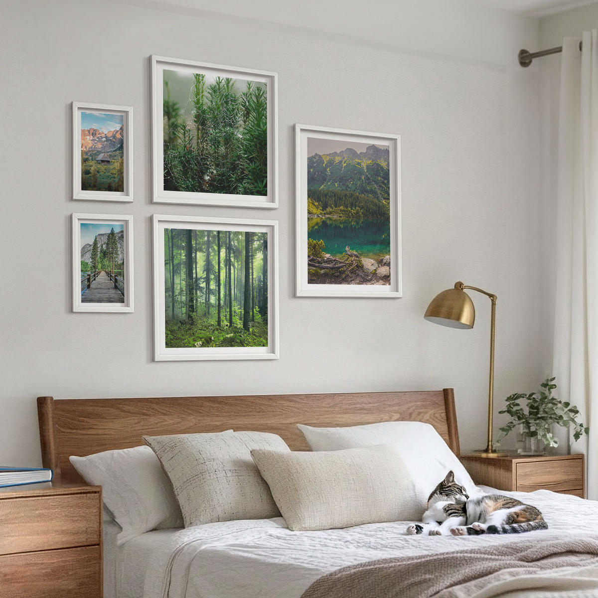 BILDER SET 5er Set - 50x50 cm & 20x30 cm & 40x60 cm Weißer Rahmen - Minimalistische Pflanzenzeichnungen - Weiß, Kunststoff (40/60cm) - TULUP
